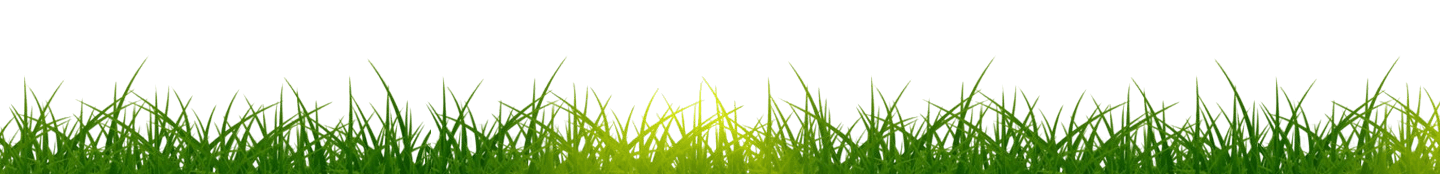 grass